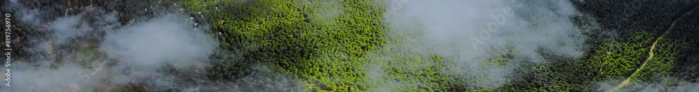 Panoramic aerial view of clouds over coniferous forest