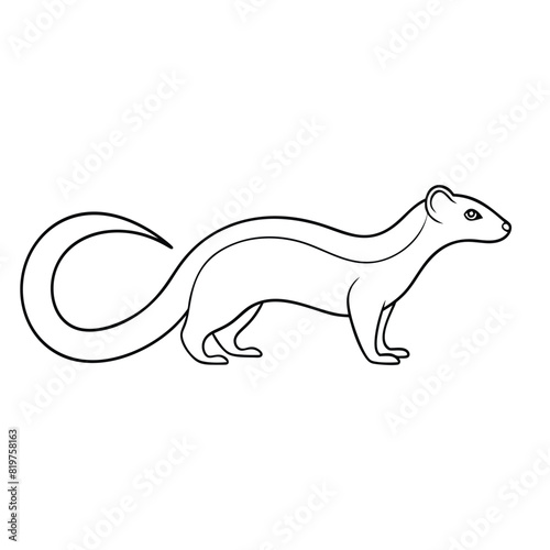Mongoose animal Single continuous minimal line art illustration.