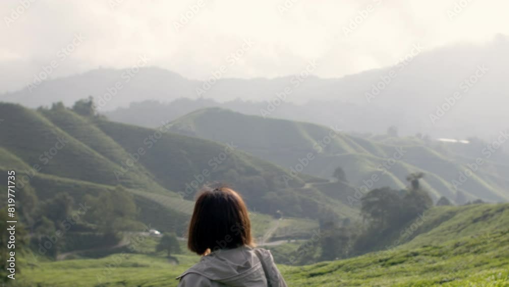 Asian woman walking in the green tee plantation field with mountains in the background