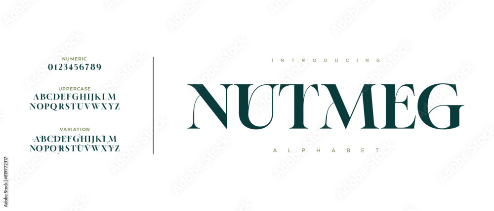 © fourmonths - Nutmeg elegant font alphabet uppercase lowercase and number. Classic lettering minimal fashion designs. Typography modern serif fonts regular decorative vintage concept. Vector illustration