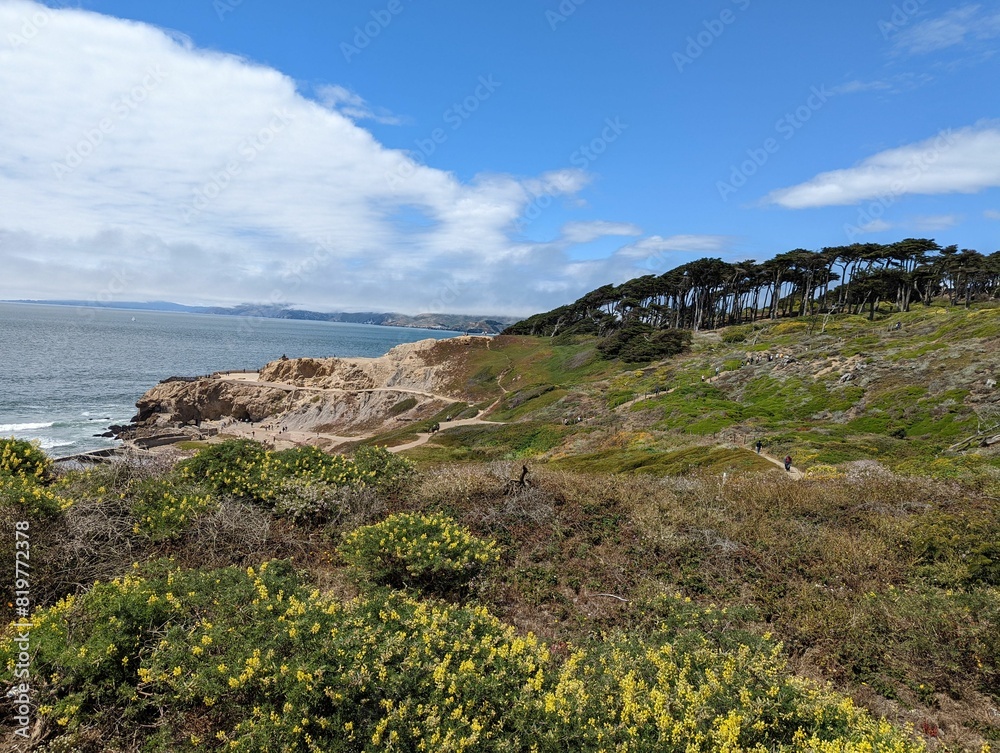 Green trees on the cliff with the blue sea and the blue sky in the background Green trees on the cliff with the blue sea and the blue sky in the background
