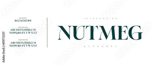 Nutmeg elegant font alphabet uppercase lowercase and number. Classic lettering minimal fashion designs. Typography modern serif fonts regular decorative vintage concept. Vector illustration