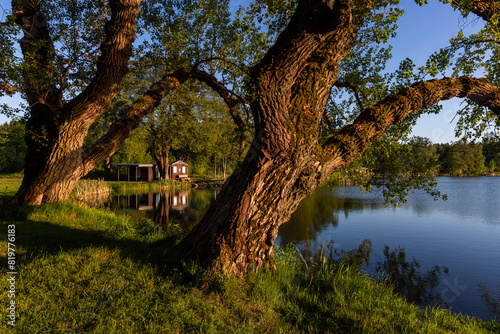 See Treuer Nachbarsteich Harzgerode Straßberg photo