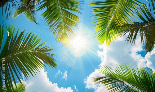 Bright Sun Shining Through Palm Tree Leaves Against a Clear Blue Sky