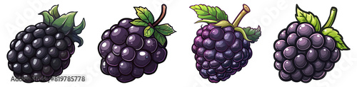 Blackberry, PNG set, Illustration