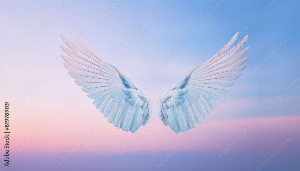 Obraz premium 天使の羽と夕焼け空