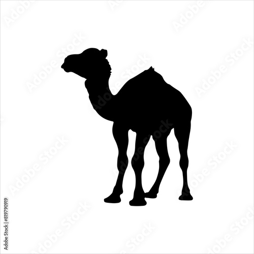 Baby newly born camel silhouette isolated on white background. Baby camel icon vector illustration design.