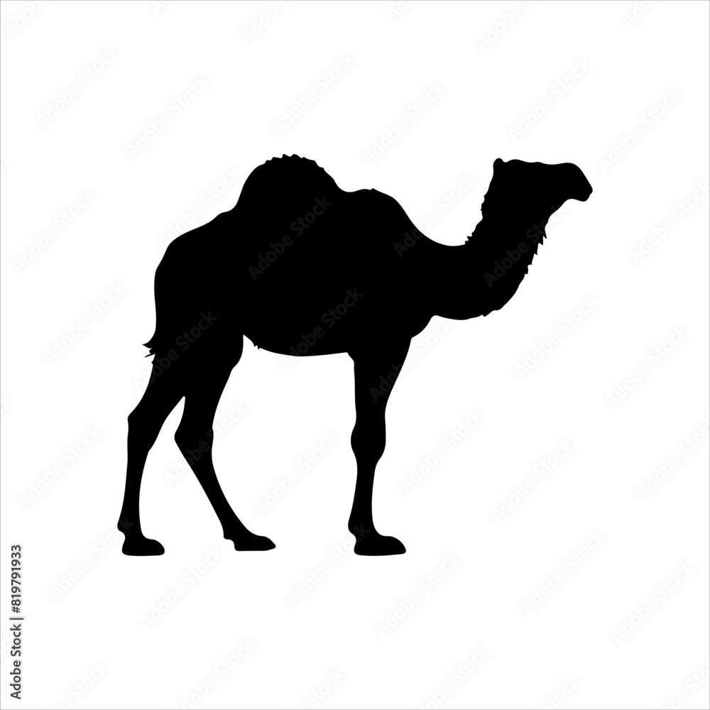 Black arabian camel silhouette isolated on white background. Camel icon vector illustration design.