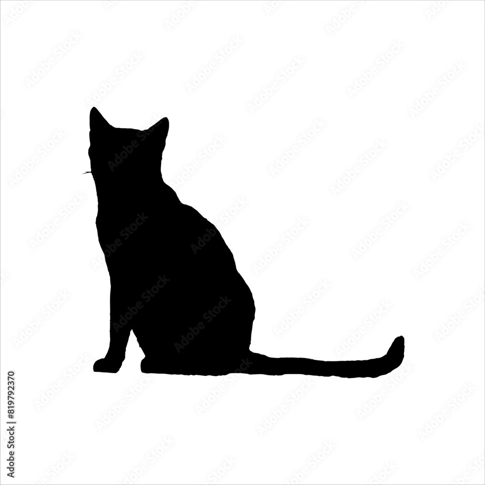 Cat sitting silhouette isolated on white background. Cat sitting icon vector illustration design.