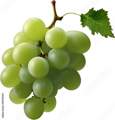 A bunch of green grapes with a green leaf attached. photo