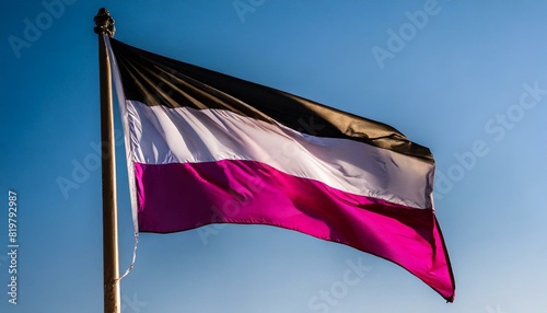 asexual flag flies against the blue sky, lgbt pride month