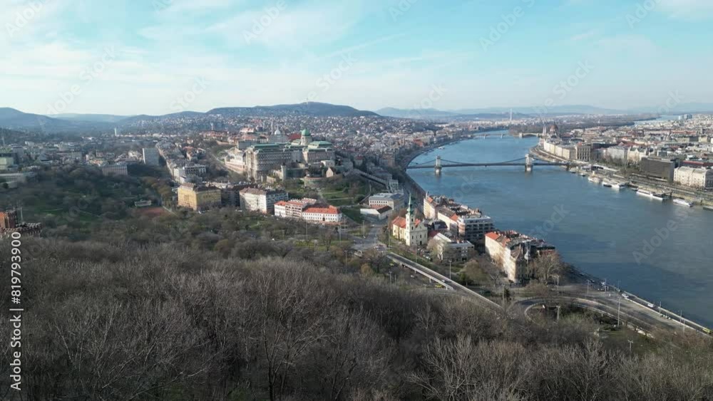 Drone view of leafless trees and cityscape with river and blue sky behind it Drone view of leafless trees and cityscape with river and blue sky behind it