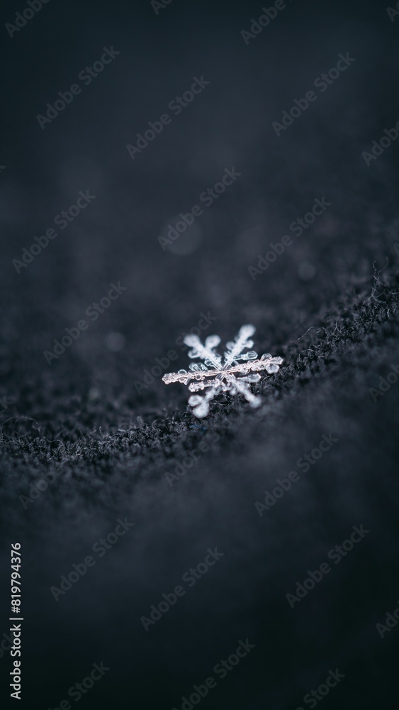 Vertical closeup shot of details on a beautiful intricate snowflake Vertical closeup shot of details on a beautiful intricate snowflake