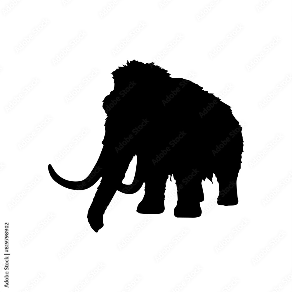 Obraz premium 300Baby elephant silhouette isolated on white background. Baby elephant icon vector illustration design.