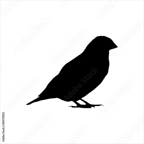 Finch bird silhouette isolated on white background. Finch bird icon vector illustration design.