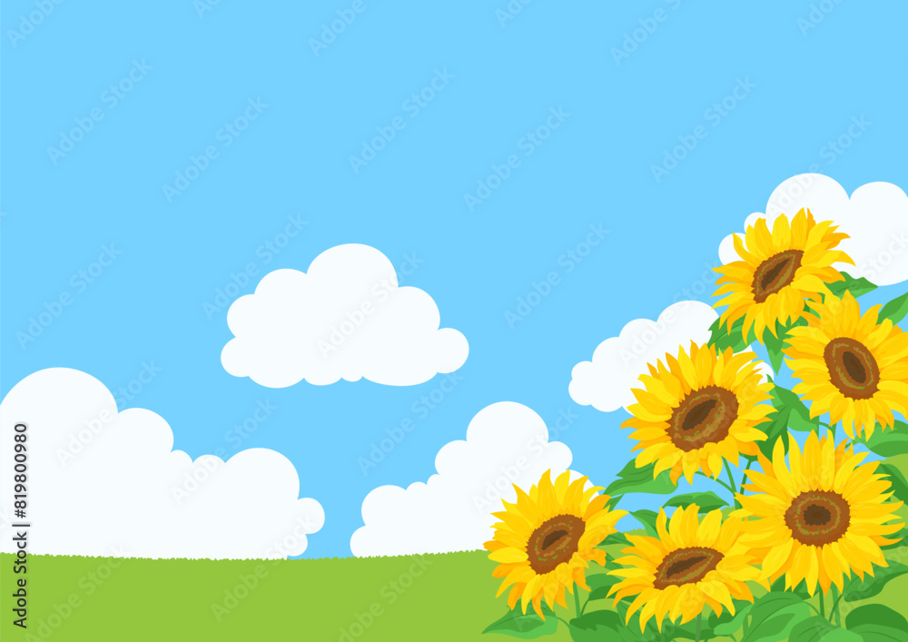 ひまわりの花と青空の風景。背景イラスト素材。