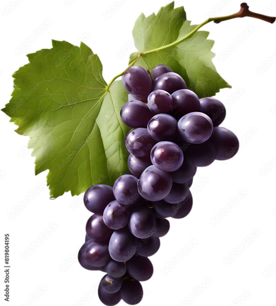 Fototapeta premium A bunch of dark purple grapes with a green leaf attached.