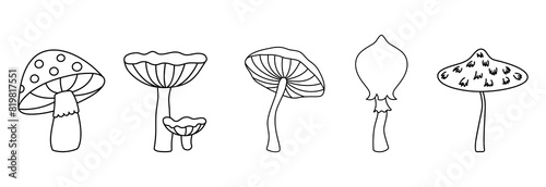 Set wild mushrooms on a white background, outline drawn vector illustration, 
Contour black line mushroom, cartoon style