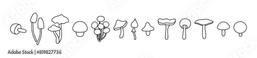 Many little mushrooms, set Wild mushrooms on a white background, outline drawn vector illustration, cartoon style