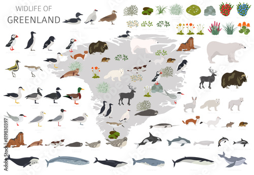 Greenlandic Geography. Design of Greenland wildlife. Animals, birds and plants constructor elements isolated on white set