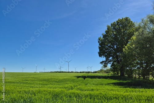 Pola uprawne w okolicy Białogardu