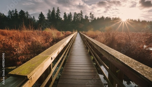 beautiful boardwalk at billy frank jr nisqually national wildlife refuge in autumn in olympia wa photo