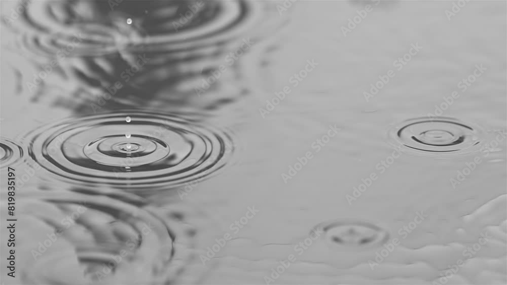 Slow motion of rain drops in a puddle Slow motion of rain drops in a puddle