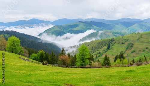 carpathian countryside scenery on a foggy morning mountainous landscape of ukraine with grassy meadows forested hills and misty valley in spring clouds above the mountains