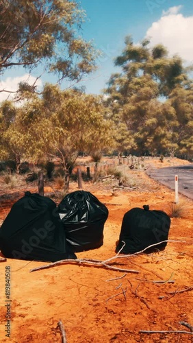 Two bags casually placed on the side of a road. photo