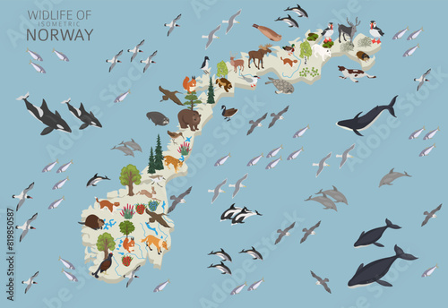 Norway wildlife isometric geography. Animals, birds and plants constructor elements isolated on white set. Norwegian nature infographic