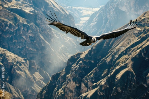 Majestic bird soaring over scenic mountains. Perfect for nature and travel concepts #819869198