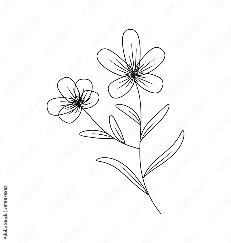 background with flowers background with flowers