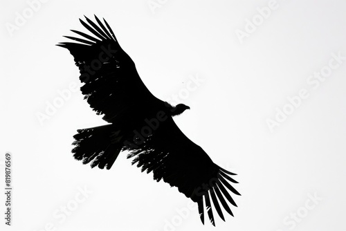 A majestic bird soaring through the sky, suitable for various projects