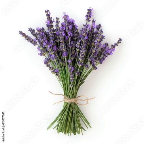 bouquet of lavender on a white background