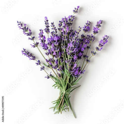 bouquet of lavender on a white background