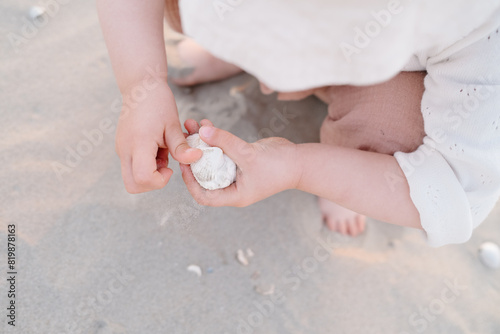 Small Child holding seashells on the beach in Sunset light photographed with shallow depth of field.