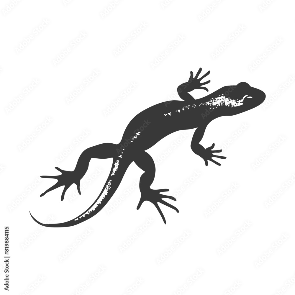 Naklejka premium Silhouette salamander animal black color only