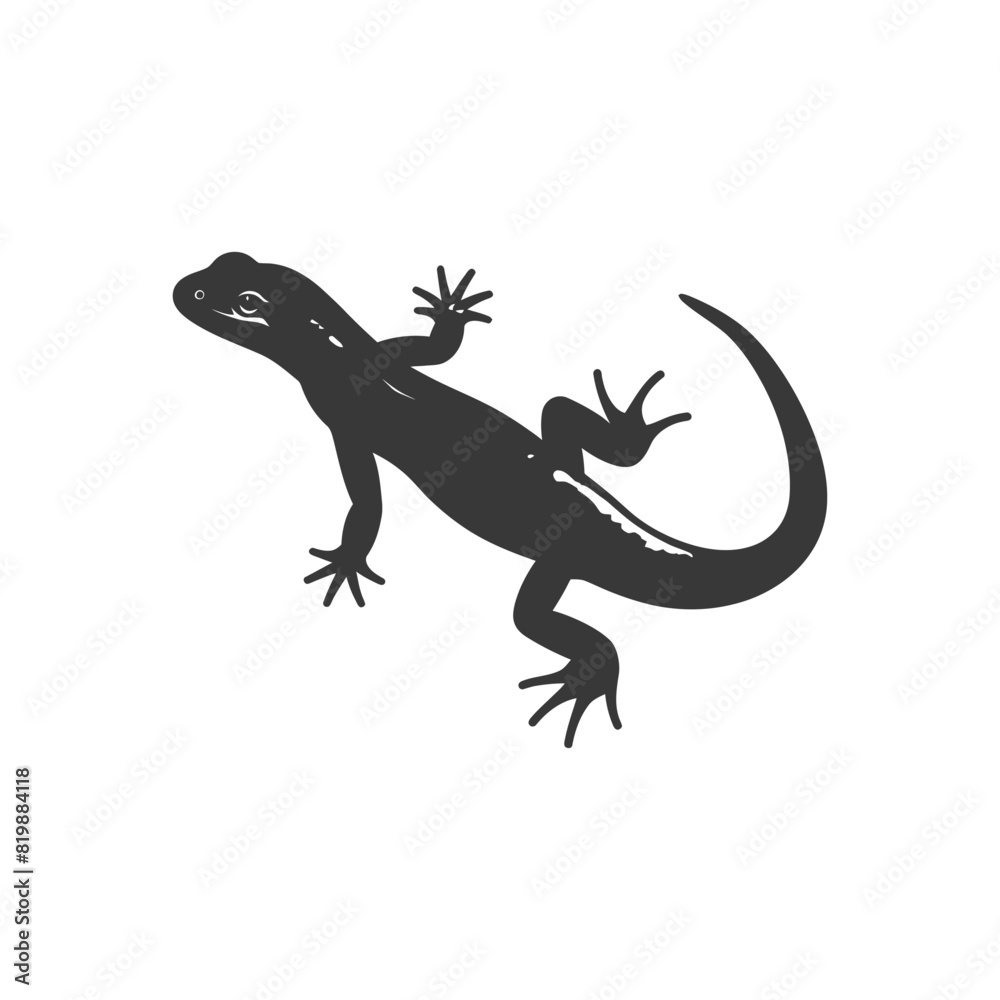 Silhouette salamander animal black color only Silhouette salamander animal black color only