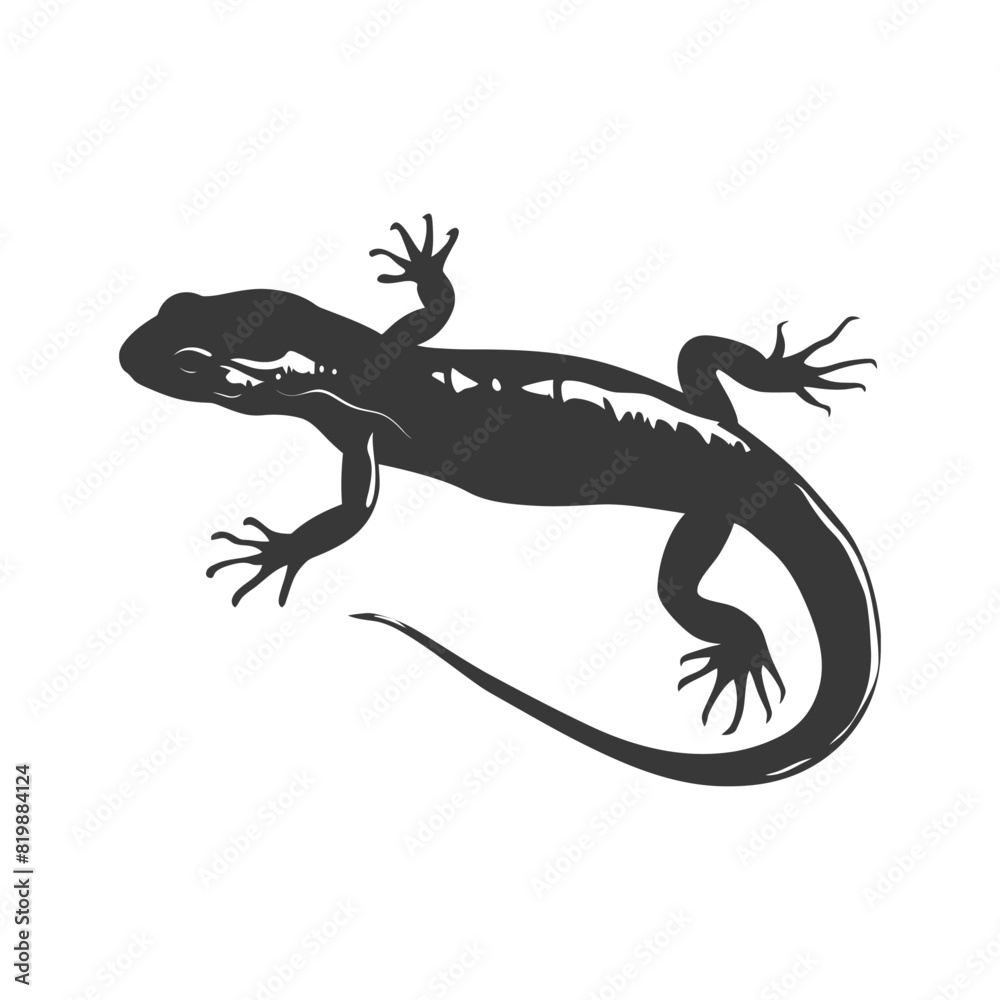 Fototapeta premium Silhouette salamander animal black color only