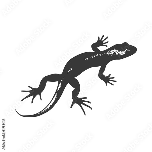 Silhouette salamander animal black color only