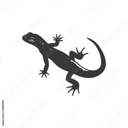 Silhouette salamander animal black color only © NikahGeh