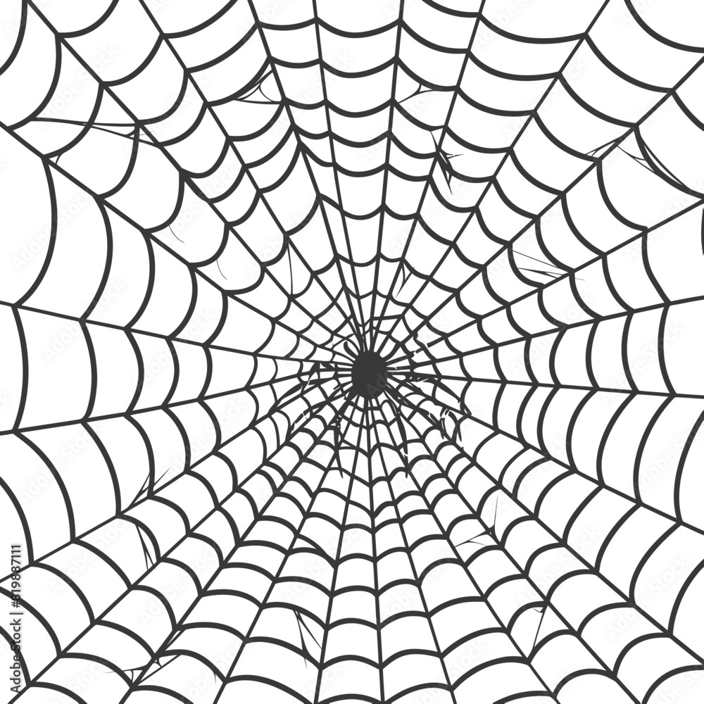 Obraz premium spider web black color only