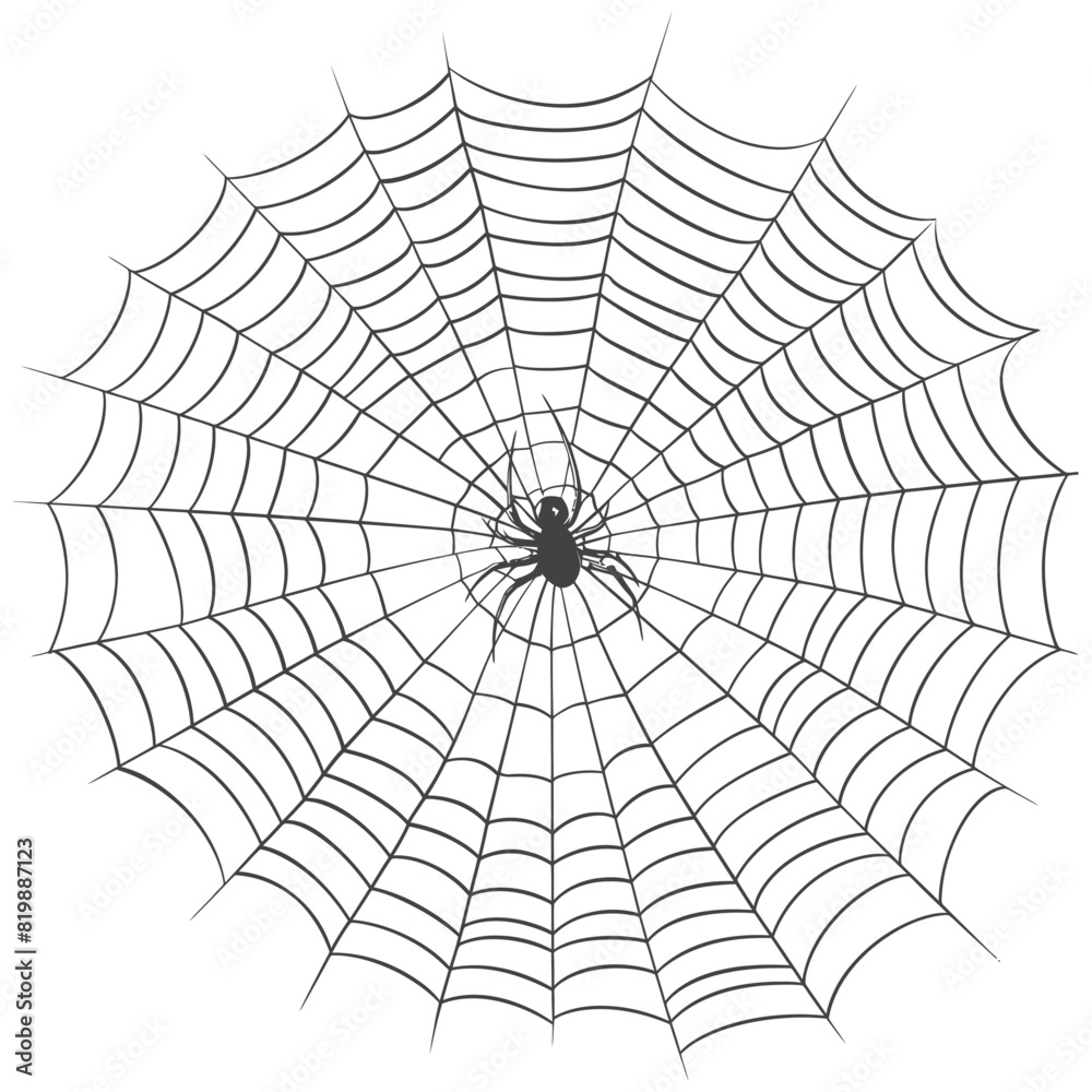 spider web black color only spider web black color only