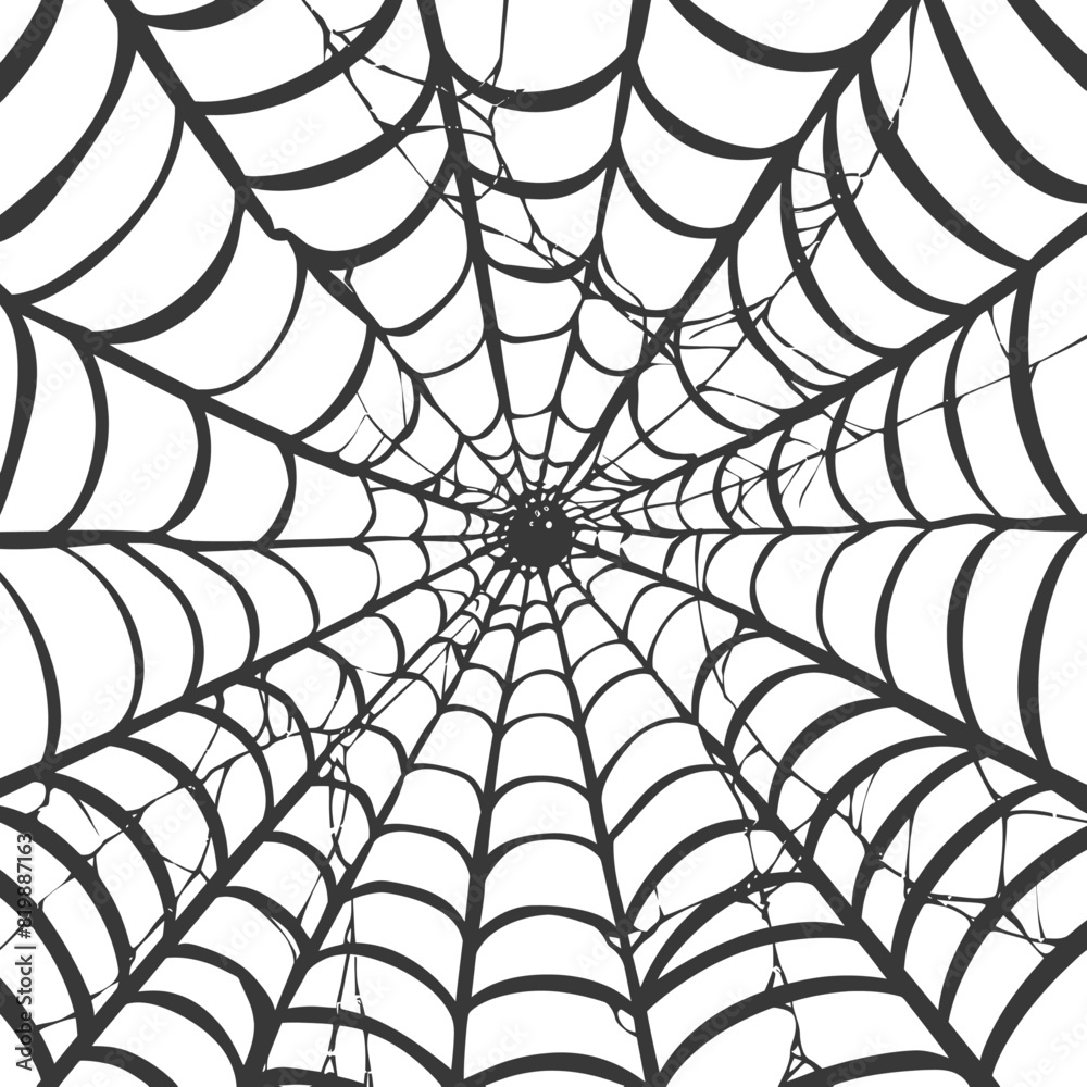 Obraz premium spider web black color only