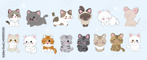 Set of cartoon cats vector illustration