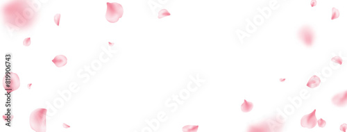 Sakura petal spring blossom frame. Pink rose composition. Flower flying background. Beauty Spa product banner. Valentine romantic card. Light delicate pastel design. Vector illustration.