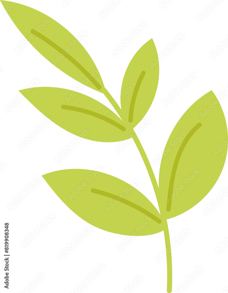 Obraz premium Foliage clipart vector