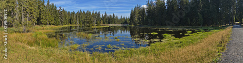 Pond at nature studies path at Kladska, Czech Republic, Europe
