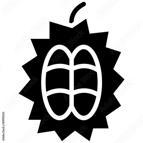 durian solid icon