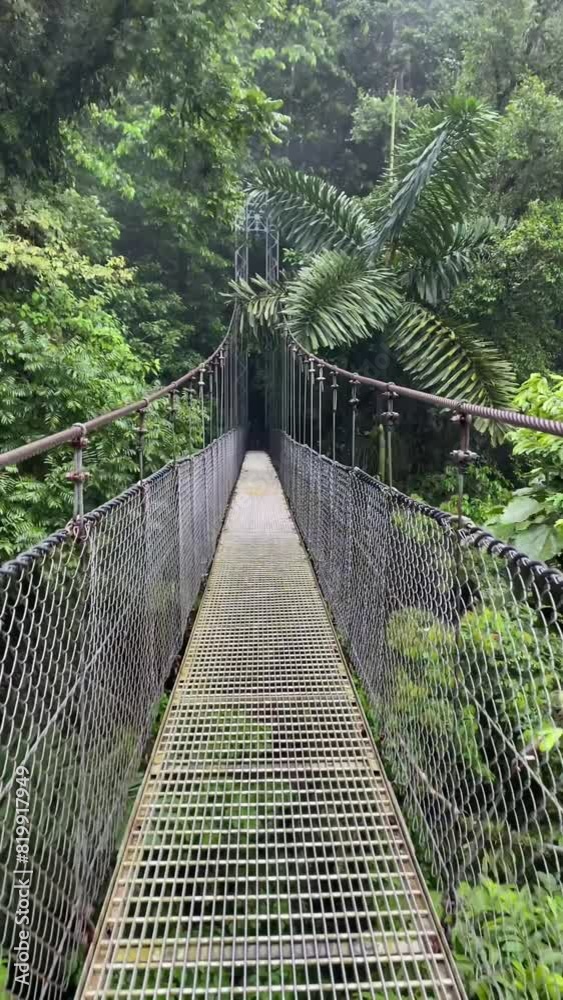 vidéo d'une personne marchant sur un pont suspendu en plein milieu de la nature verdoyante. dans la jungle du Costa Rica, dans une forêt tropicale humide